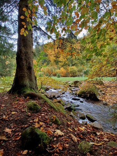 Malachovská dolina