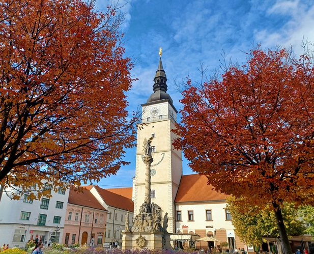 Trnava