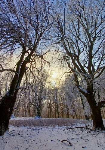 Malé Karpaty