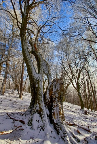 Malé Karpaty