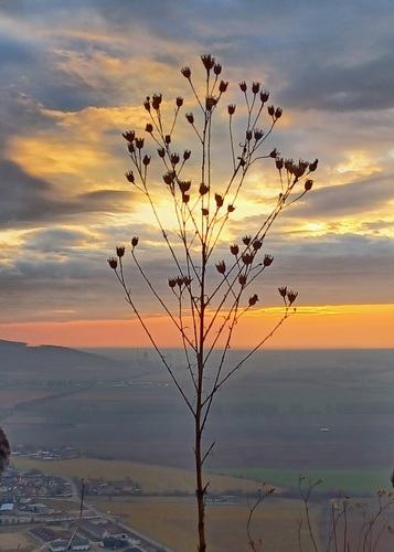 Plavecký hrad