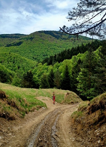 Kľak