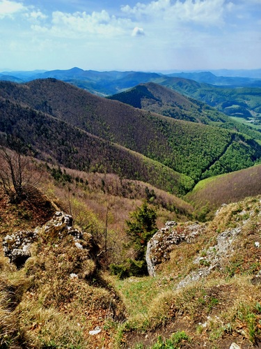 Kľak