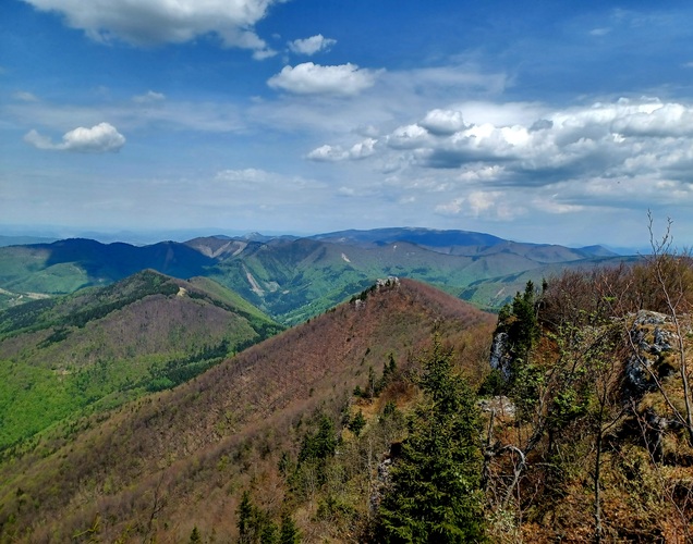 Kľak