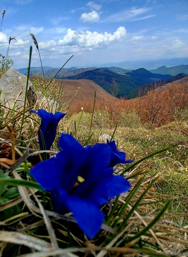 Kĺak