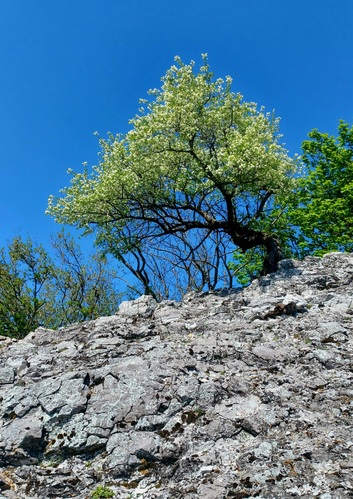 Malé Karpaty