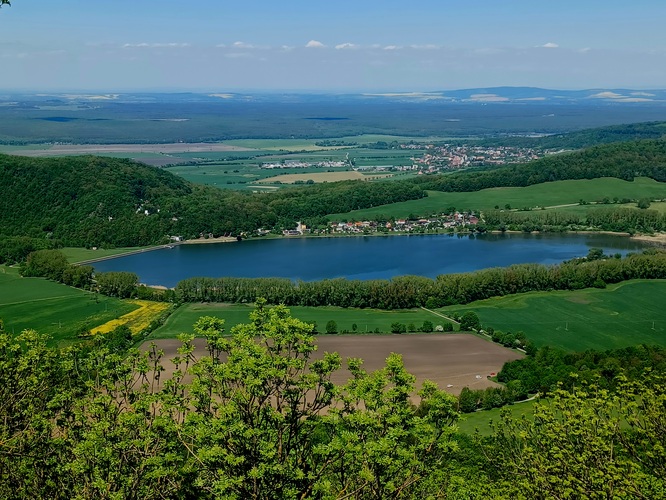 Buková