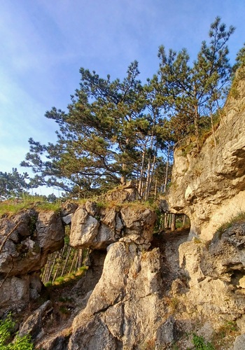 Trstín