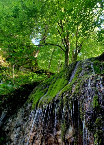 Strážov