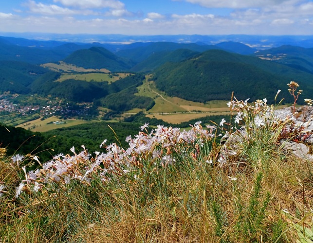 Strážov