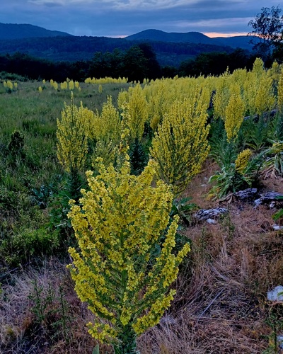 Malé Karpaty