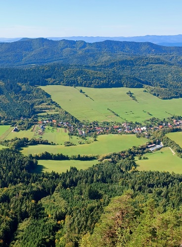 Žibrid