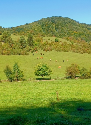 Zbyňov