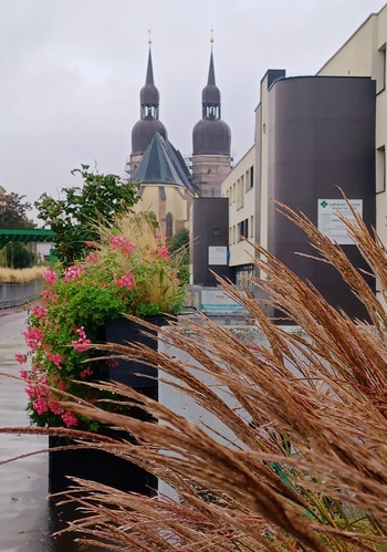Trnava