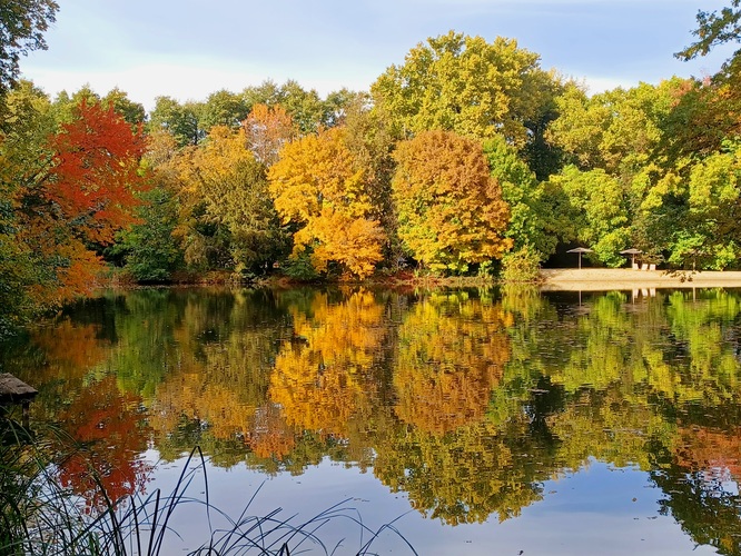 Halič