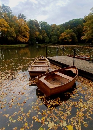 Halič