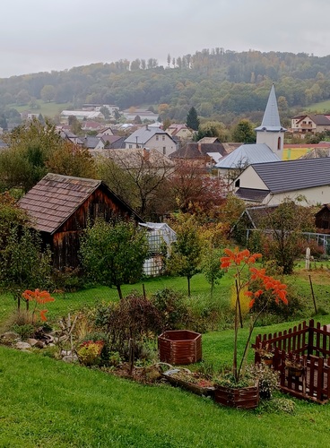 Turová