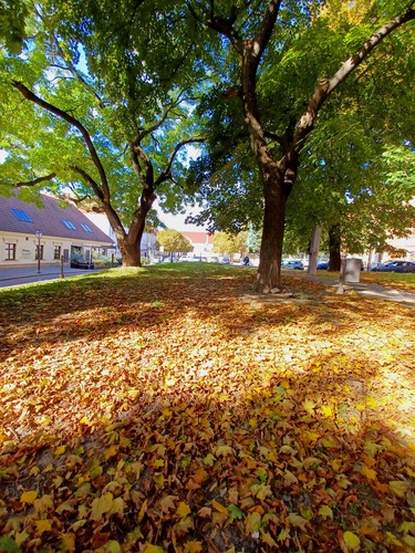 Trnava