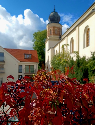 Trnava