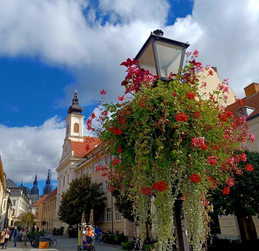 Trnava