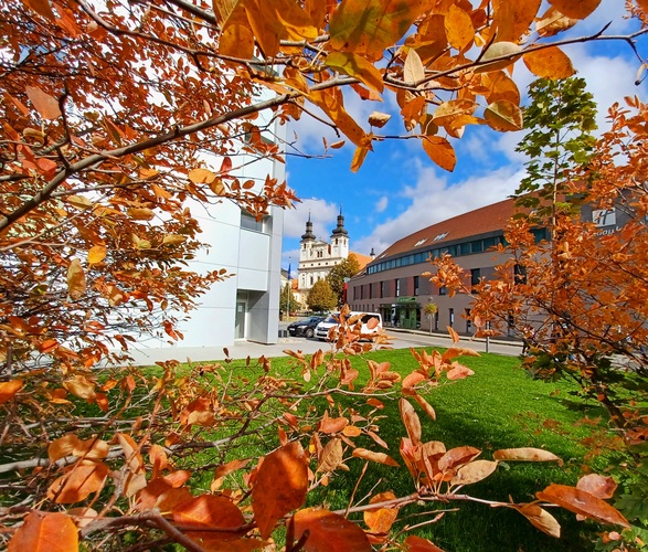 Trnava