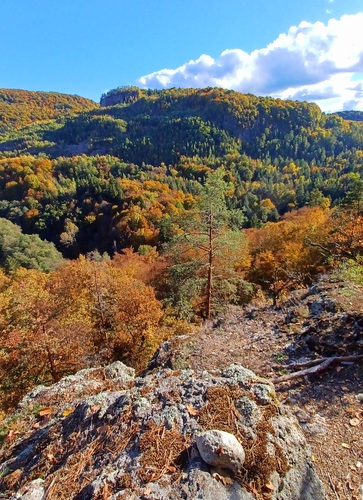 Szaboova skala
