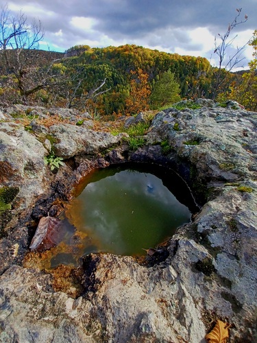 Szaboova skala