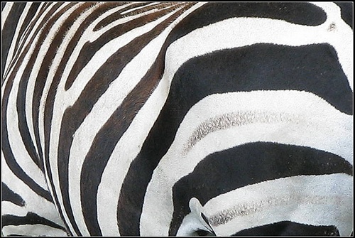 ....tak pyžamko ešte raz :-)