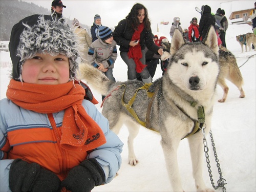 Donovaly-psie záprahy 2007