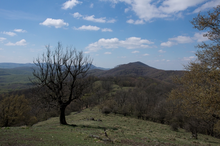 Klokoč Malé Karpaty (výhľad)