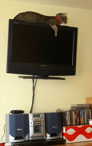 Kraken TV
