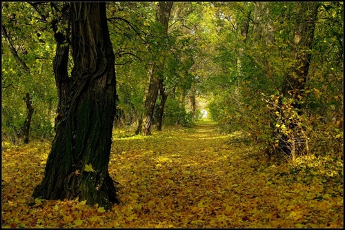 ...jesenná prechádzka...