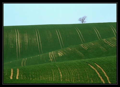 ...jarné vlnenie II...