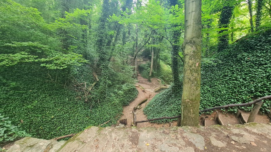 Haluzická tiesňava