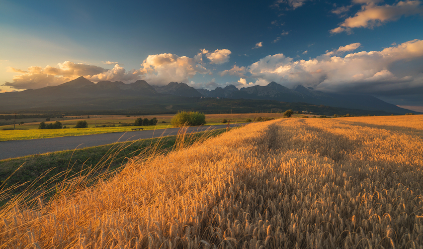 Vysoke Tatry 