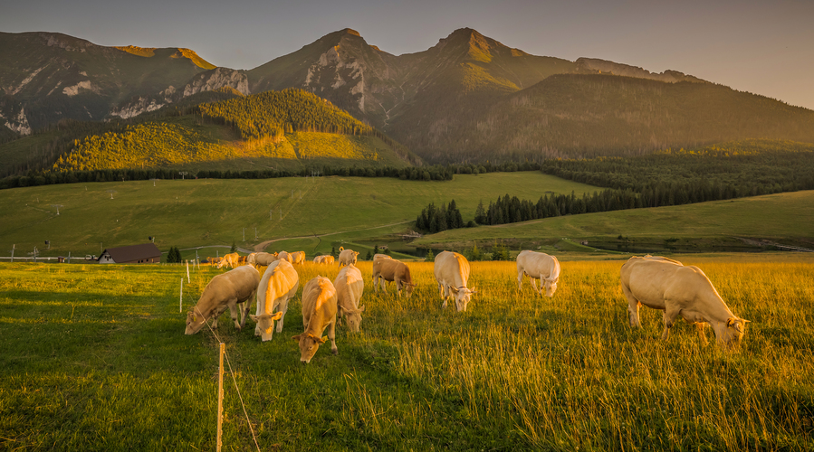 Belianske Tatry 