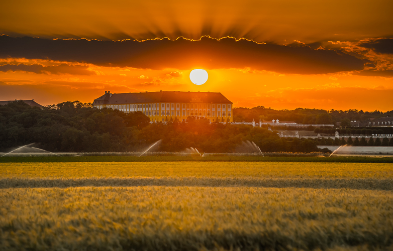 Schloss Hof