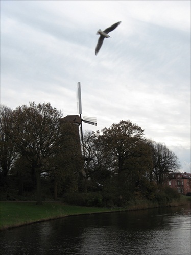 alkmaar windmill