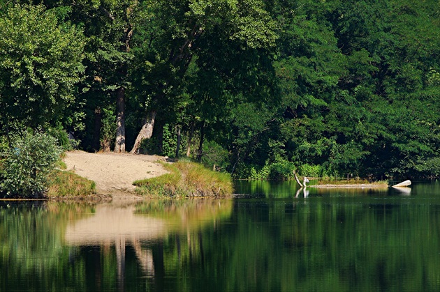 taká zrkadlová