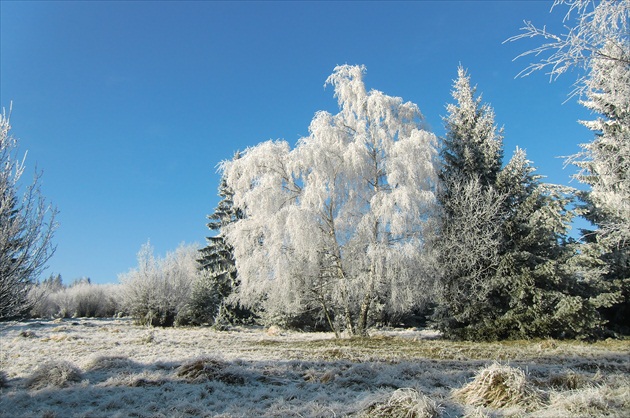 Stastny zimny den nad Kremnicou