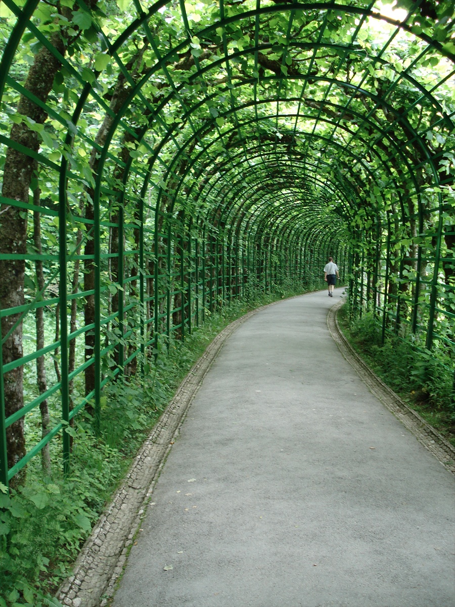 zeleným tunelom