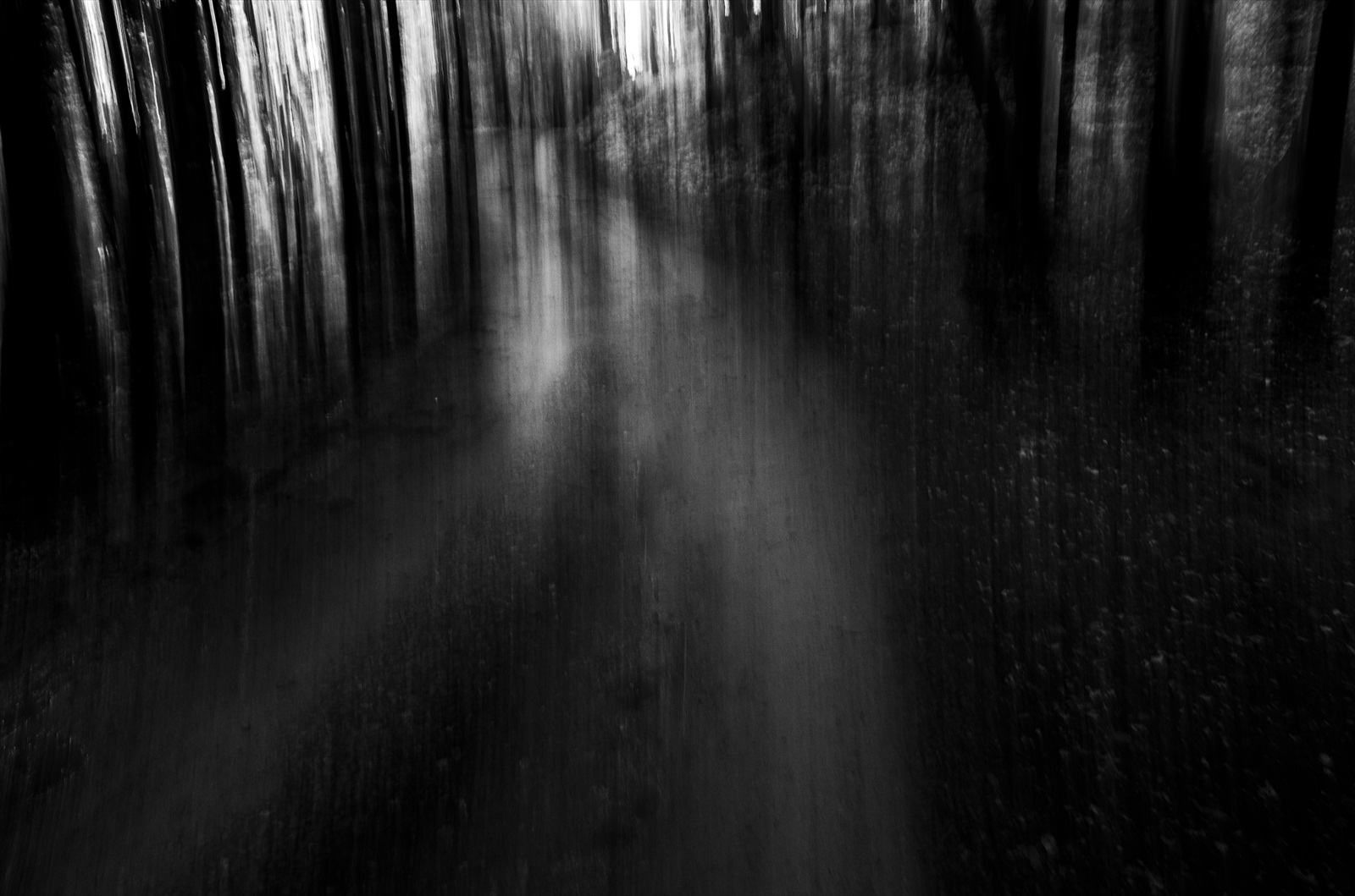 Trošku temnoty lesnej