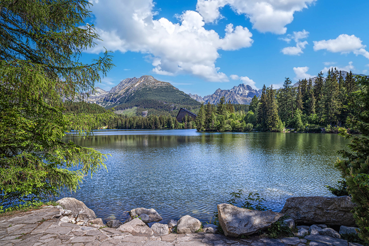 Pleso