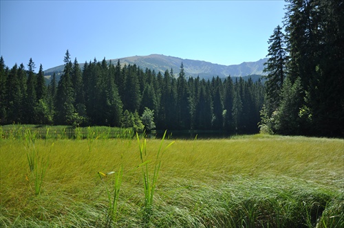 Nízke Tatry