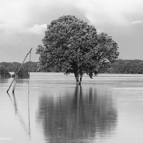 Záplavy 2013
