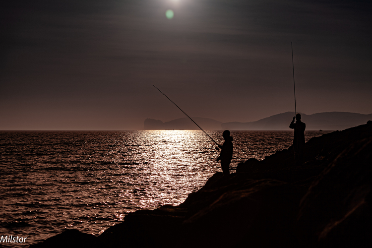 Podvečerný  rybolov