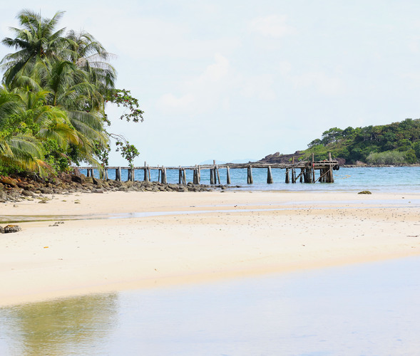 K.T.