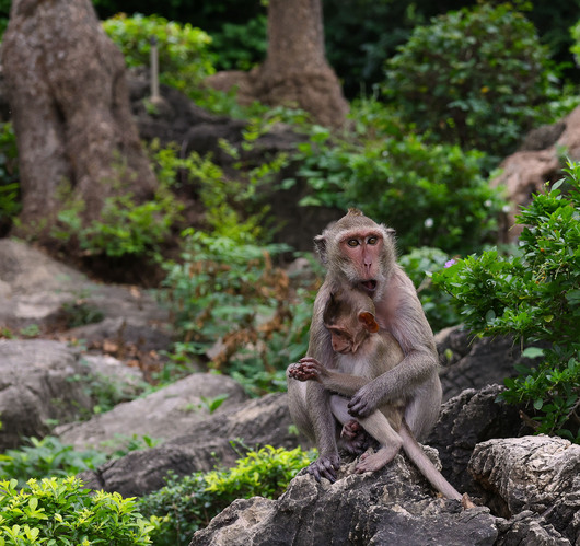 K.T.