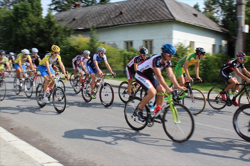Majstrovstvá Slovenska v cestnej cyklistike