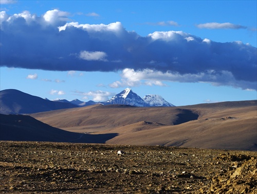 Strecha Tibetu